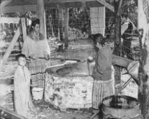 Two Seminole women prepare cane syrup using traditional methods.